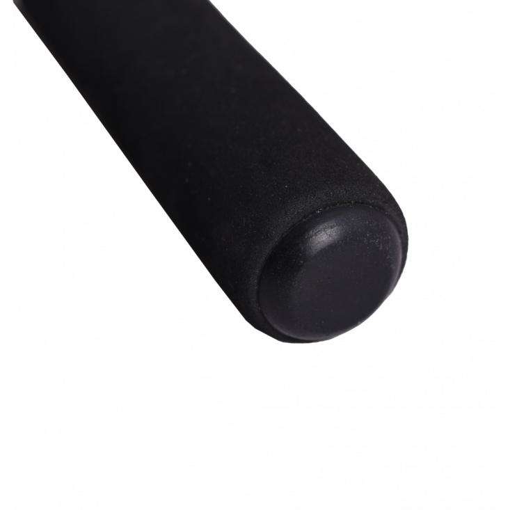 Maximus Agent-X